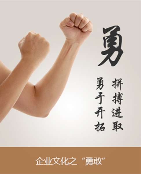 勇于开拓